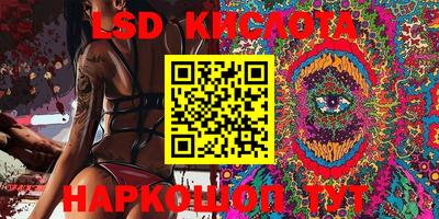 ПСИЛОЦИБИНОВЫЕ ГРИБЫ Новозыбков