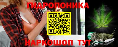 дурь Новодвинск