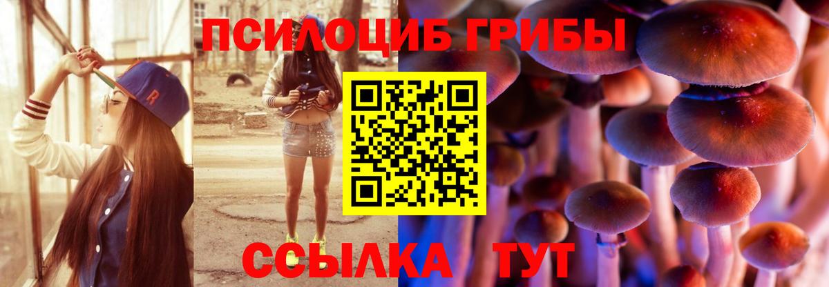 Псилоцибиновые грибы Cubensis Ртищево