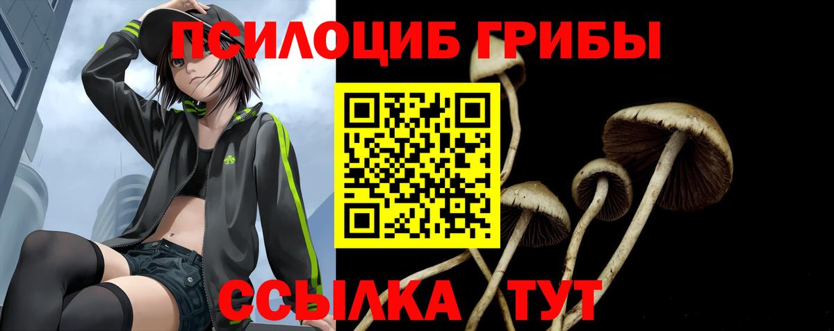Ртищево  Галлюциногенные грибы Cubensis  Вход с VPN  Псилоцибиновые грибы мицелий 